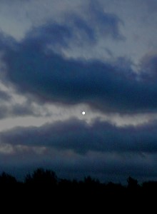 Venus am 07.01.08 gegen 8 Uhr morgens