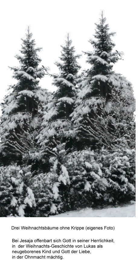 57-drei-weihnachtsbaume-ohne-krippe.jpg