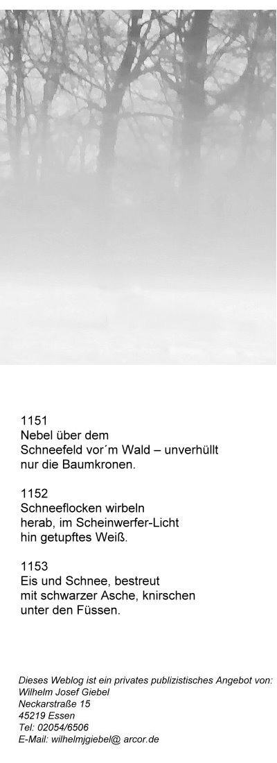 1039-nebelwolke-uber-schneefeld-vor-waldrand.jpg